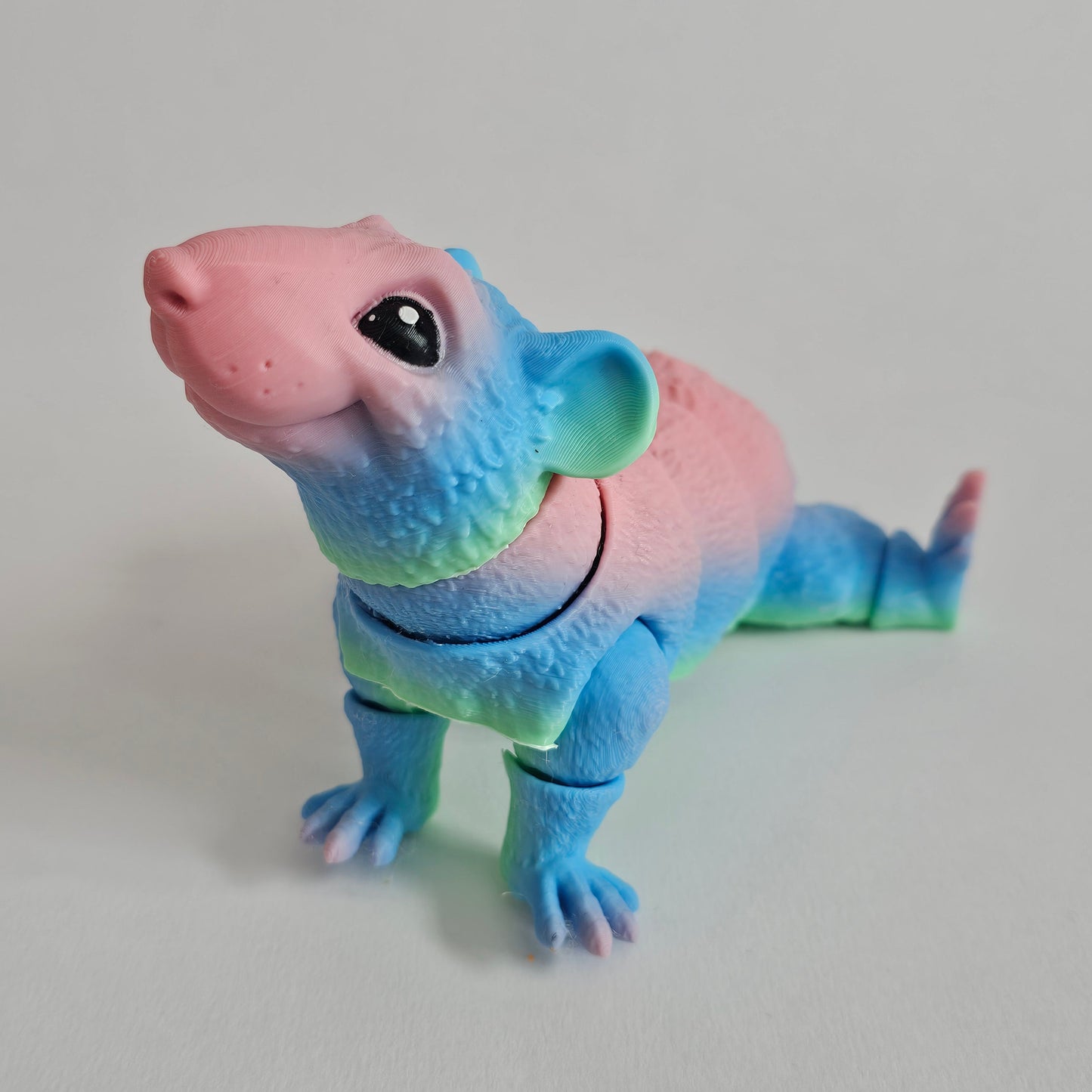 Rat model | Flexi rat