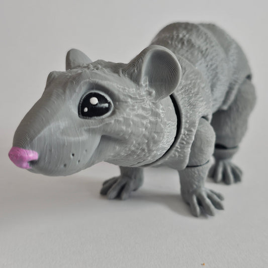 Rat model | Flexi rat