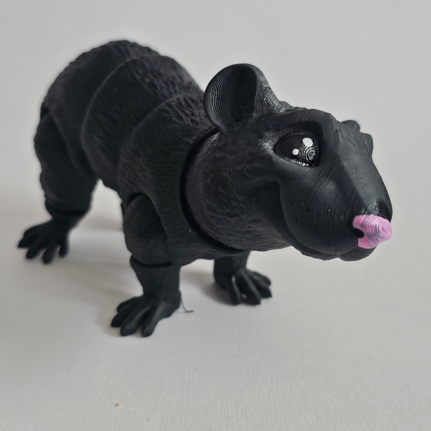 Rat model | Flexi rat