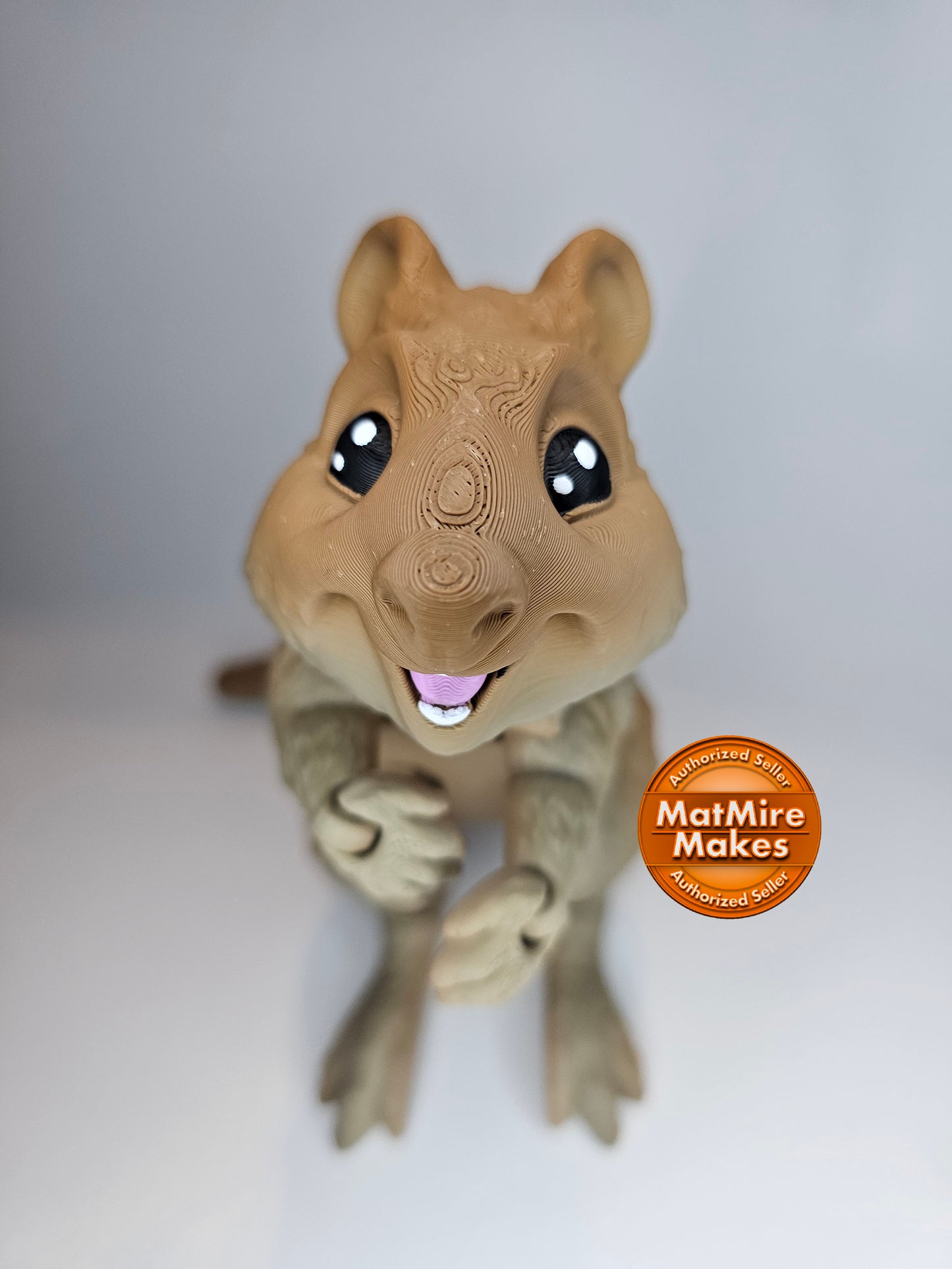 Quokka model