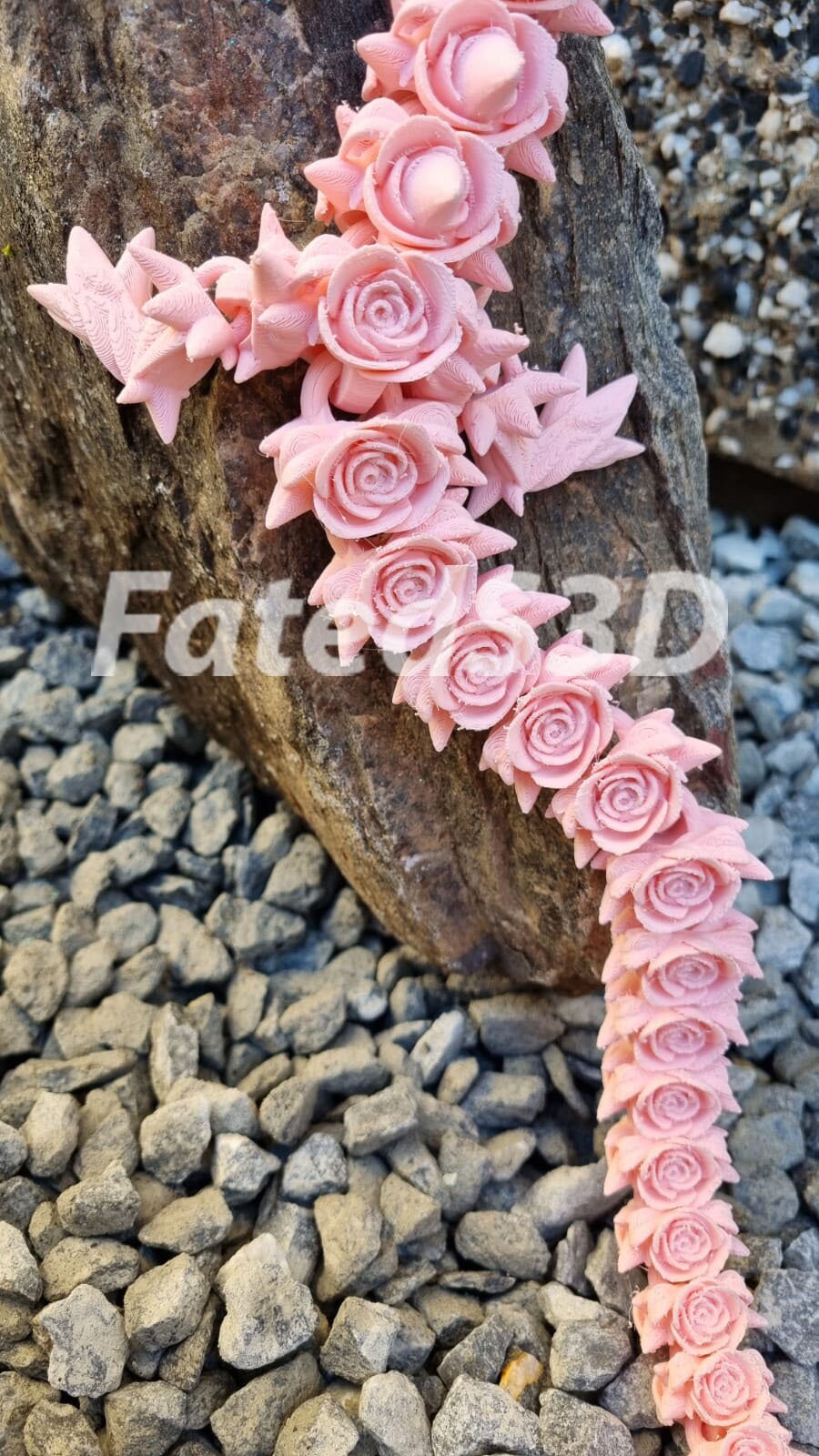 Adult rose dragon