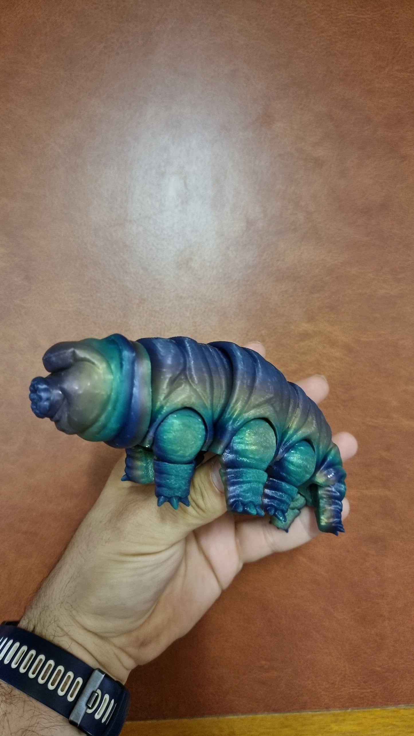 Tardigrade articulated model