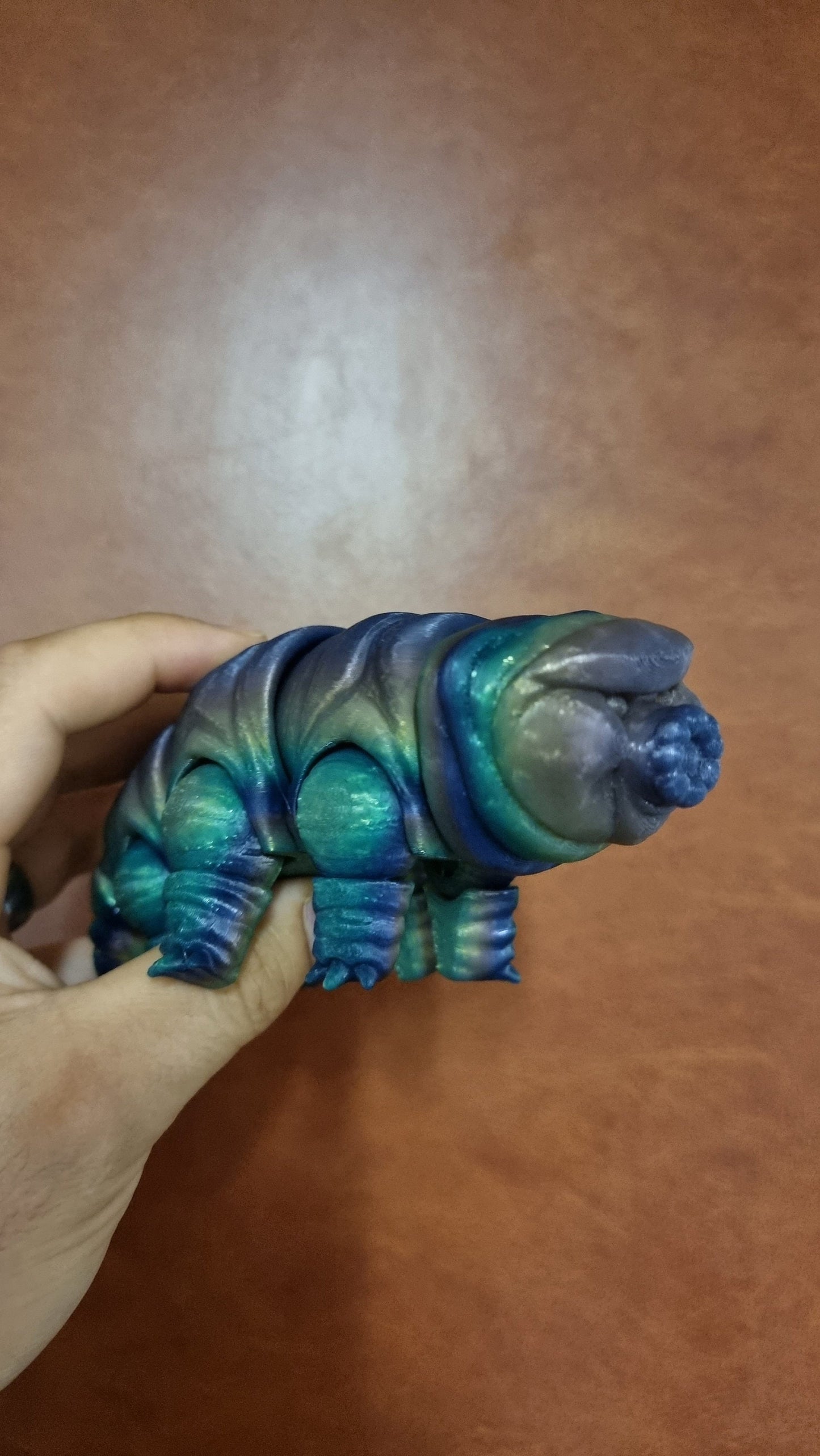 Tardigrade articulated model
