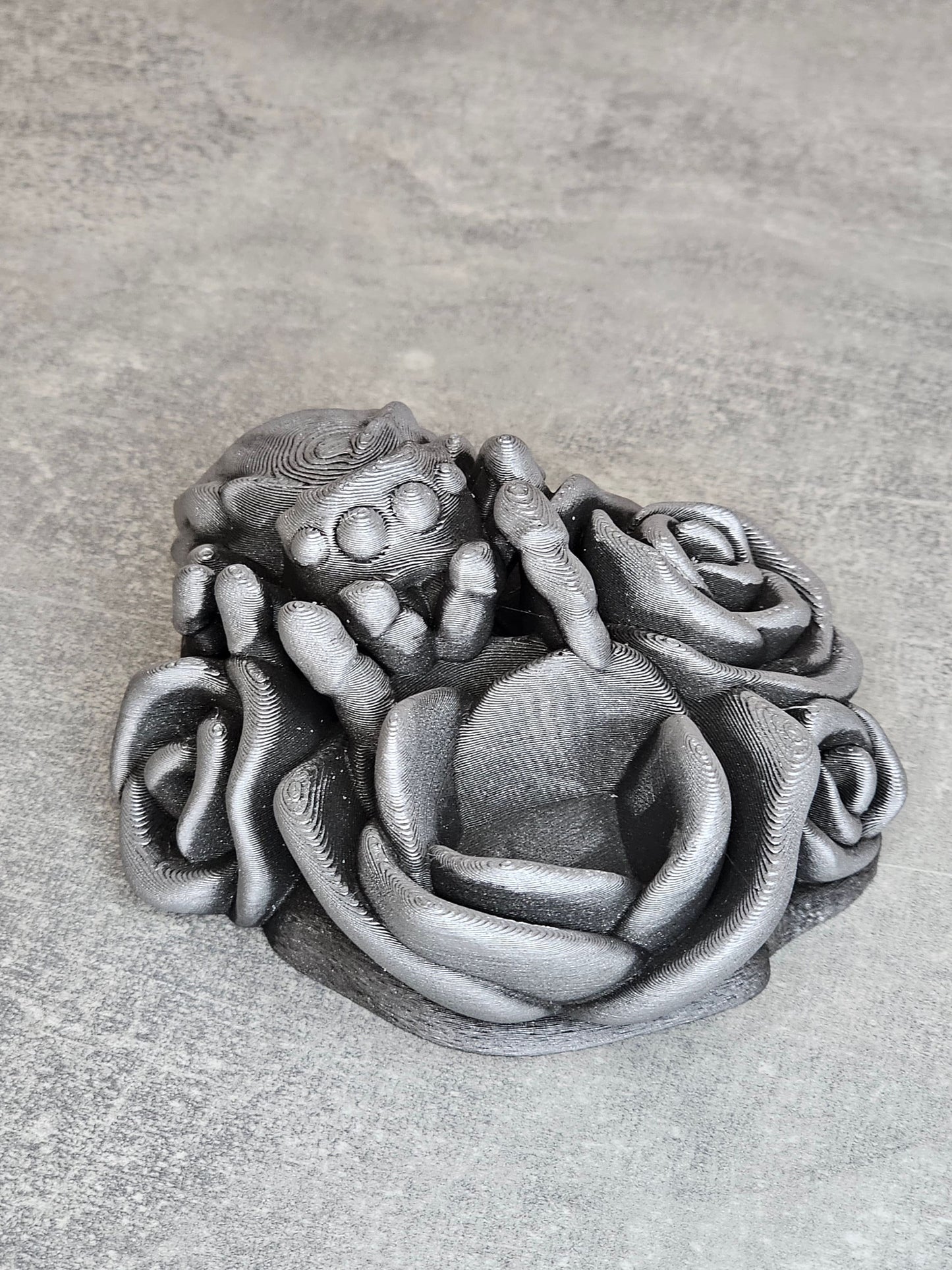 Jumping spider dice guardian