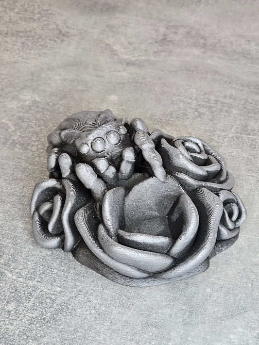 Jumping spider dice guardian