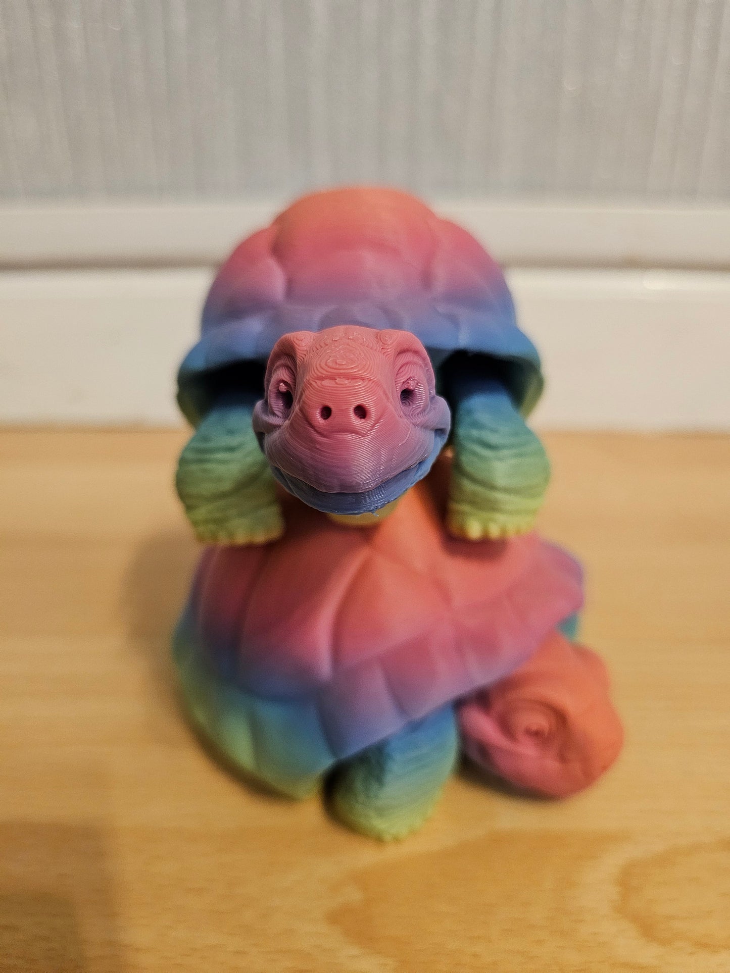 Cute tortoise articulated pal