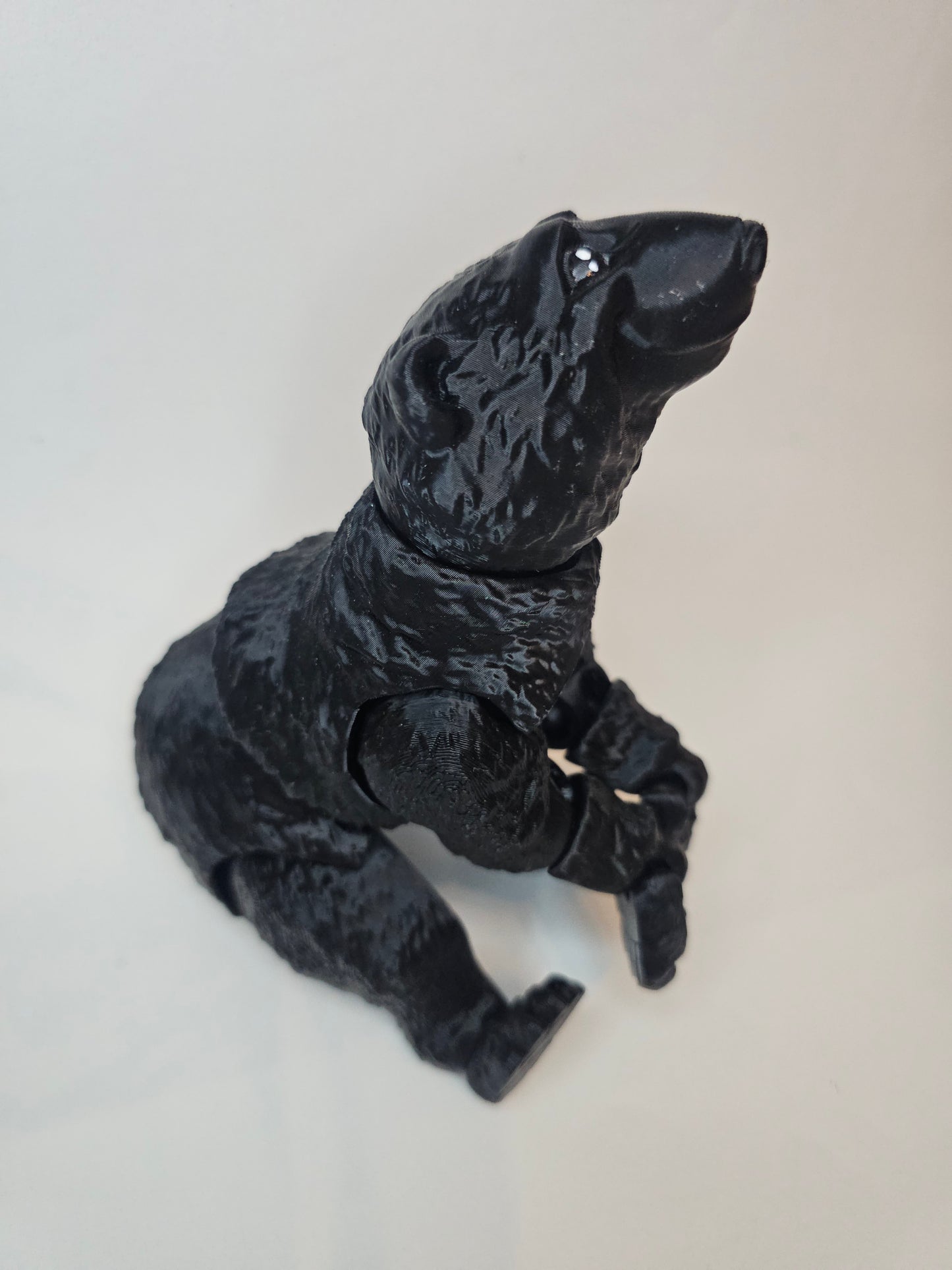 Black bear clearance