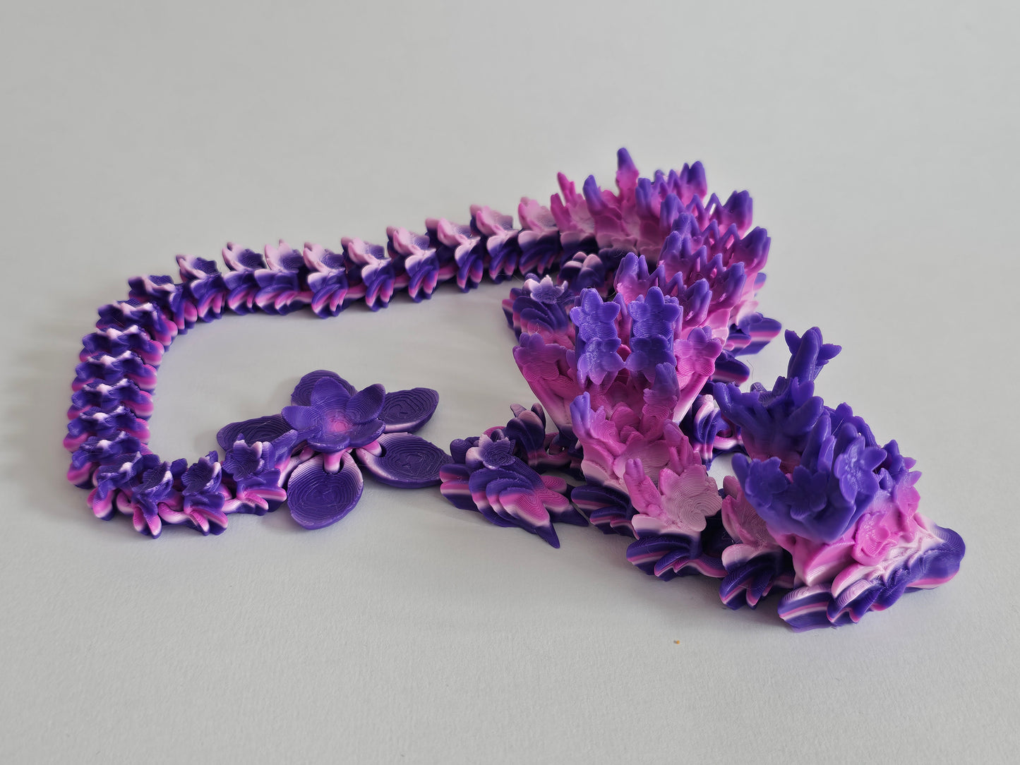 Adult cherry blossom dragon