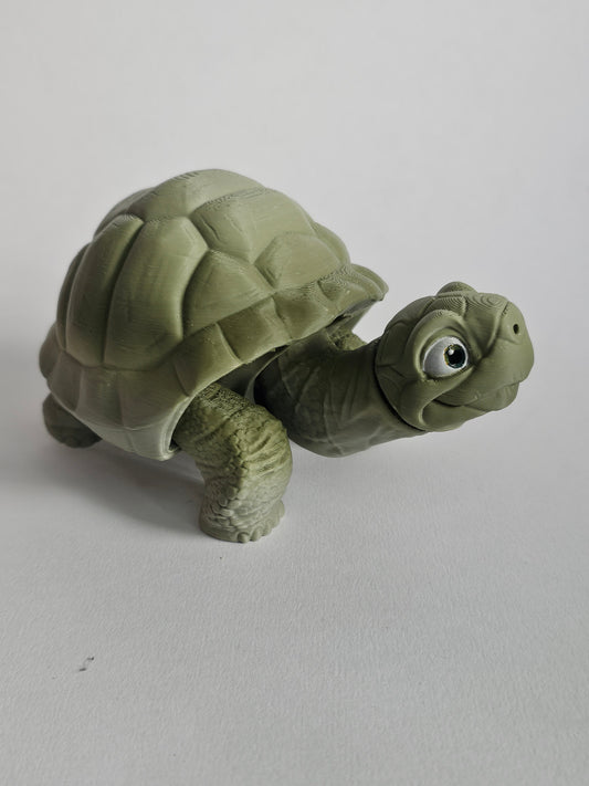 Cute tortoise articulated pal