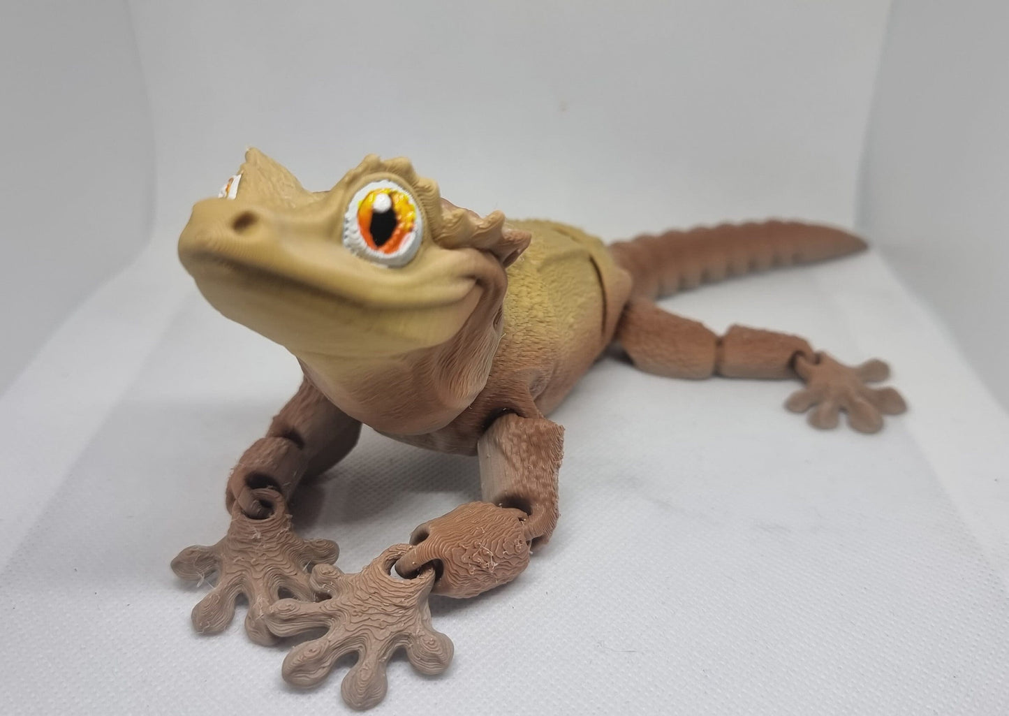 Crested gecko