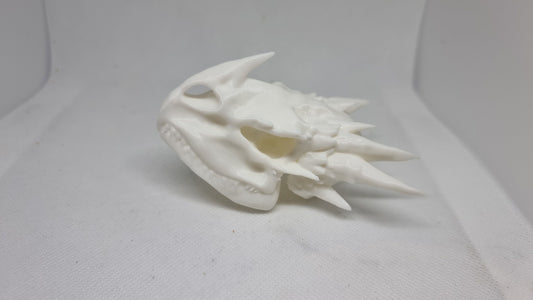 Dragon skull