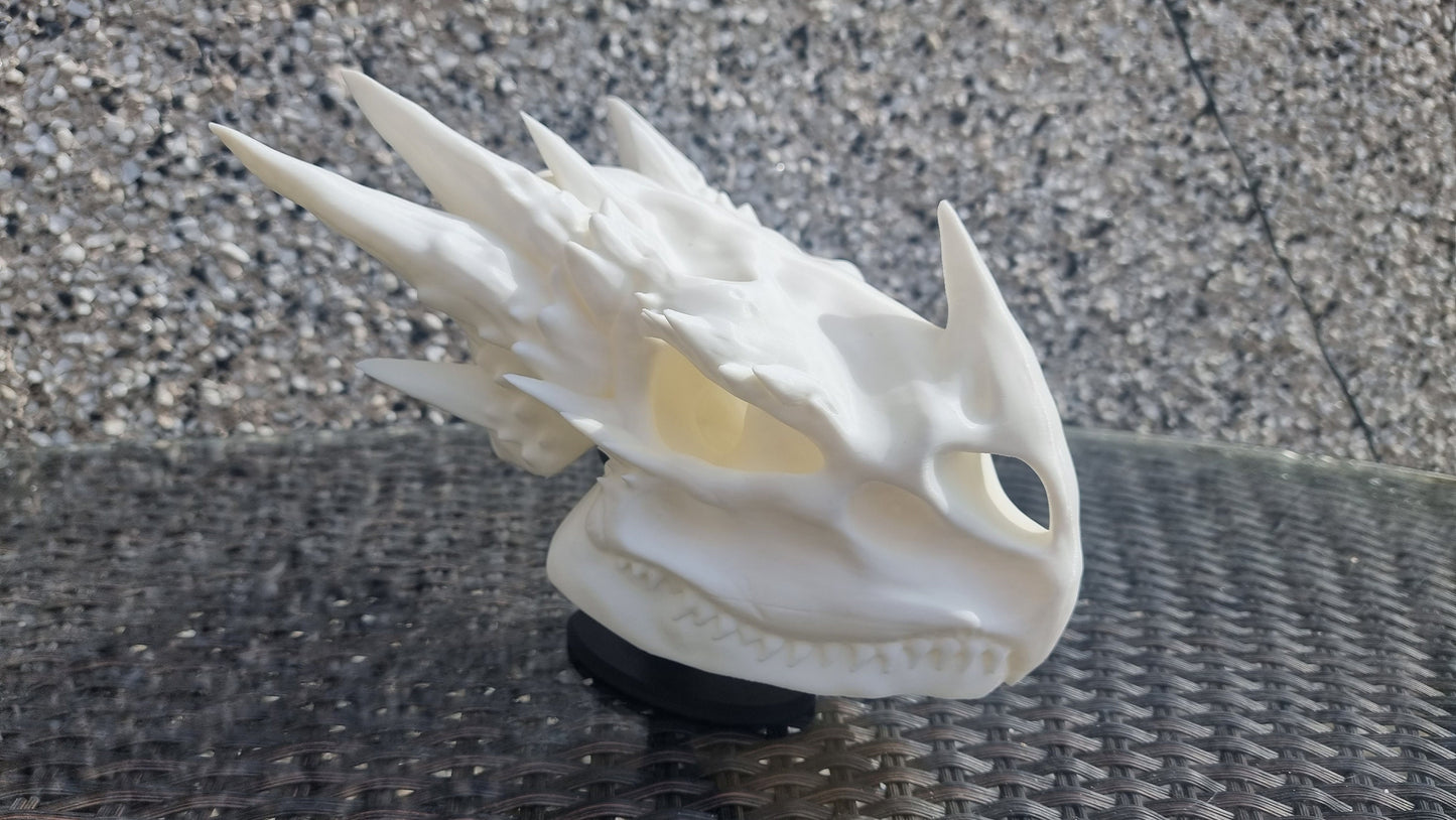 Dragon skull