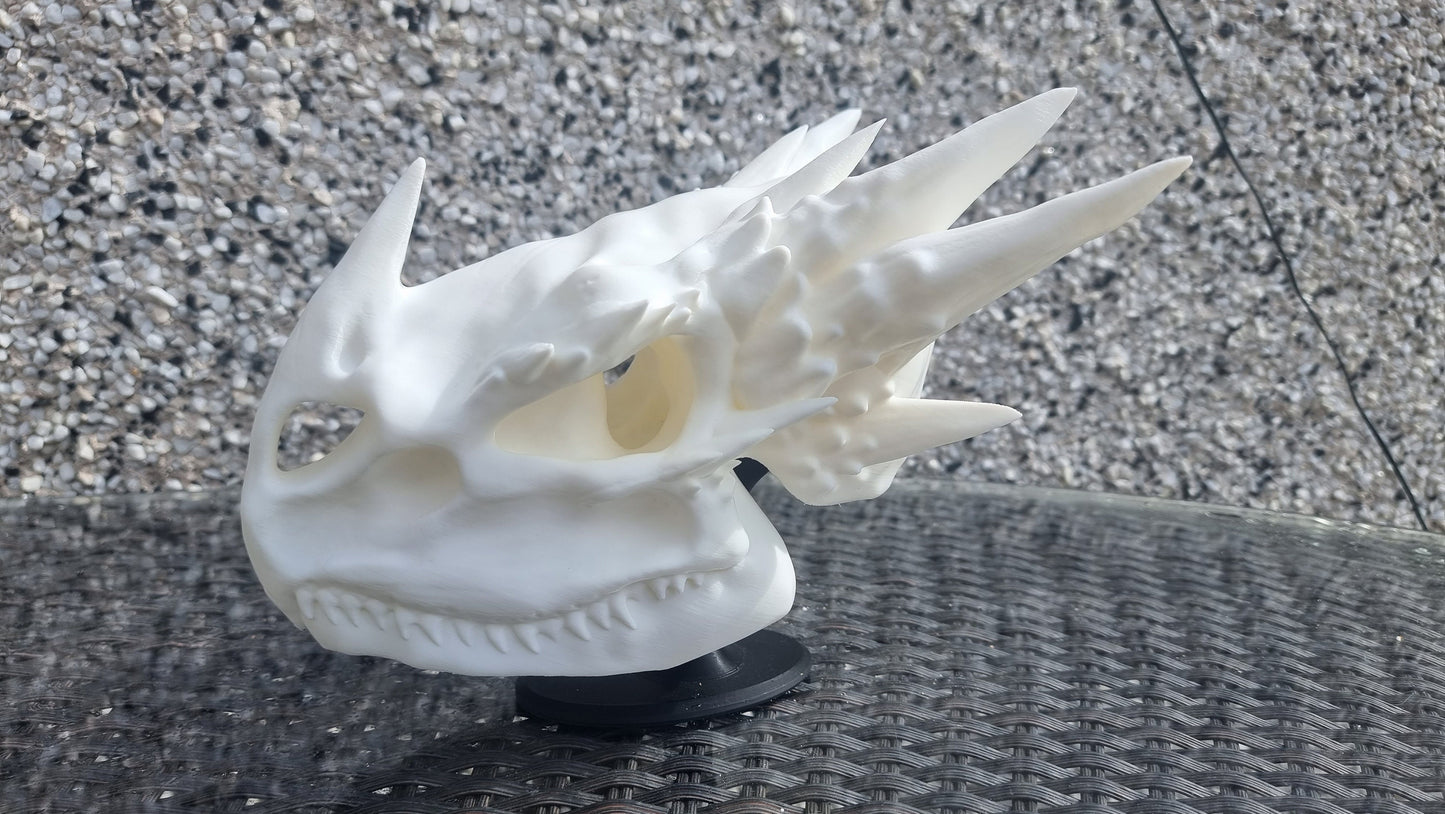 Dragon skull