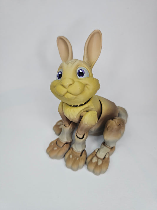 Brown rabbit clearance